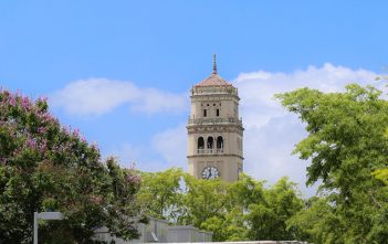 Programa de Experiencias Académicas Formativas (PEAF) 2018 – 2019