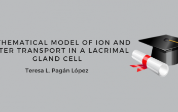 Teresa’s Thesis defense